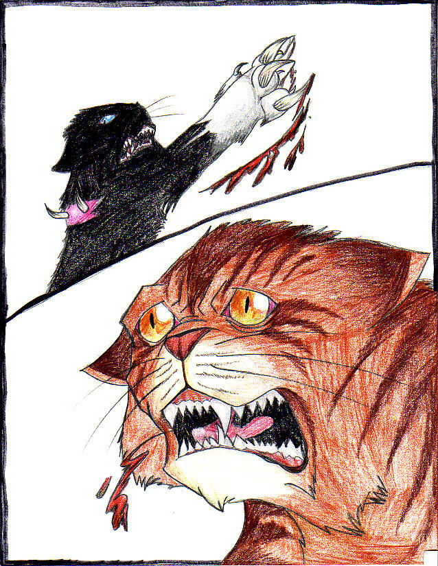 Warior Cats fanart