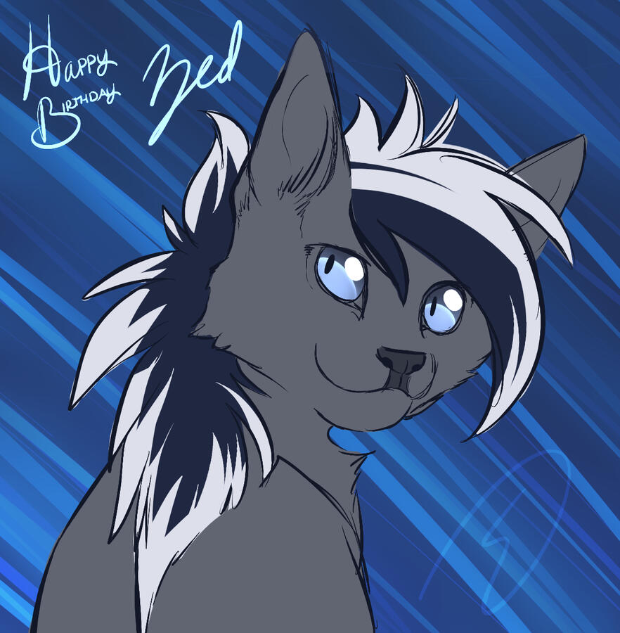 Birthday present for Zedrin as a cat