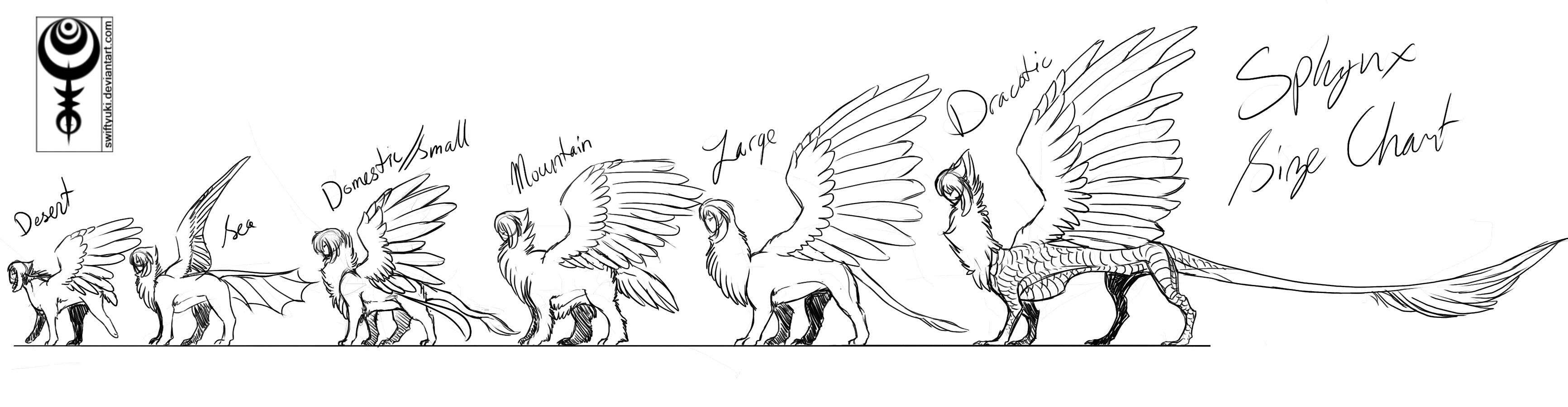Rough concept of size differences for Sphynx subspecies