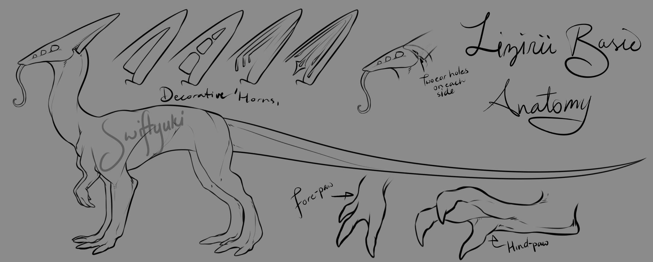 Old concept sheet of the Lizirii