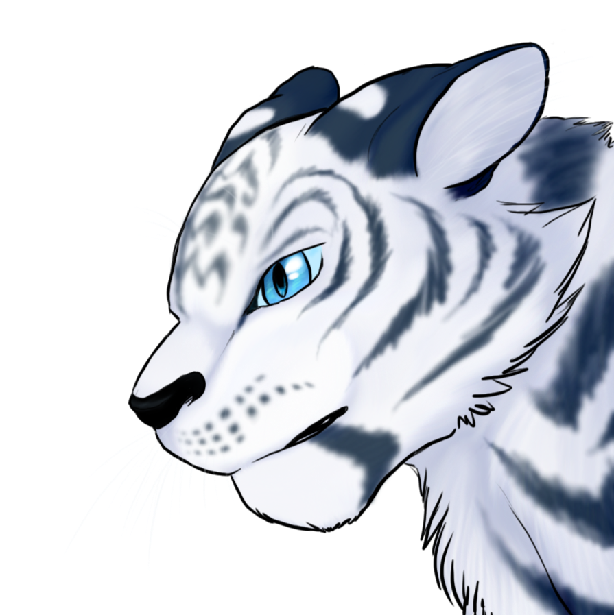 My first tablet drawing - A white tiger.