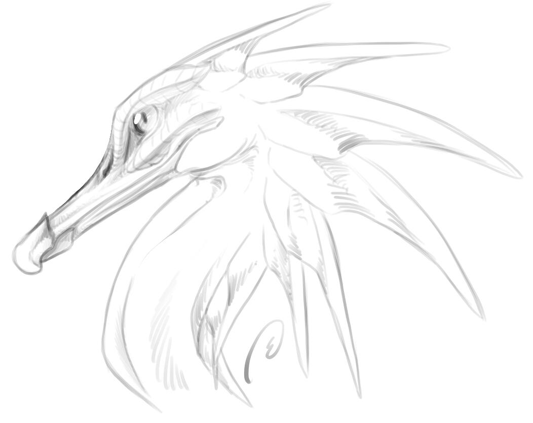 Random bird-like creature sketch