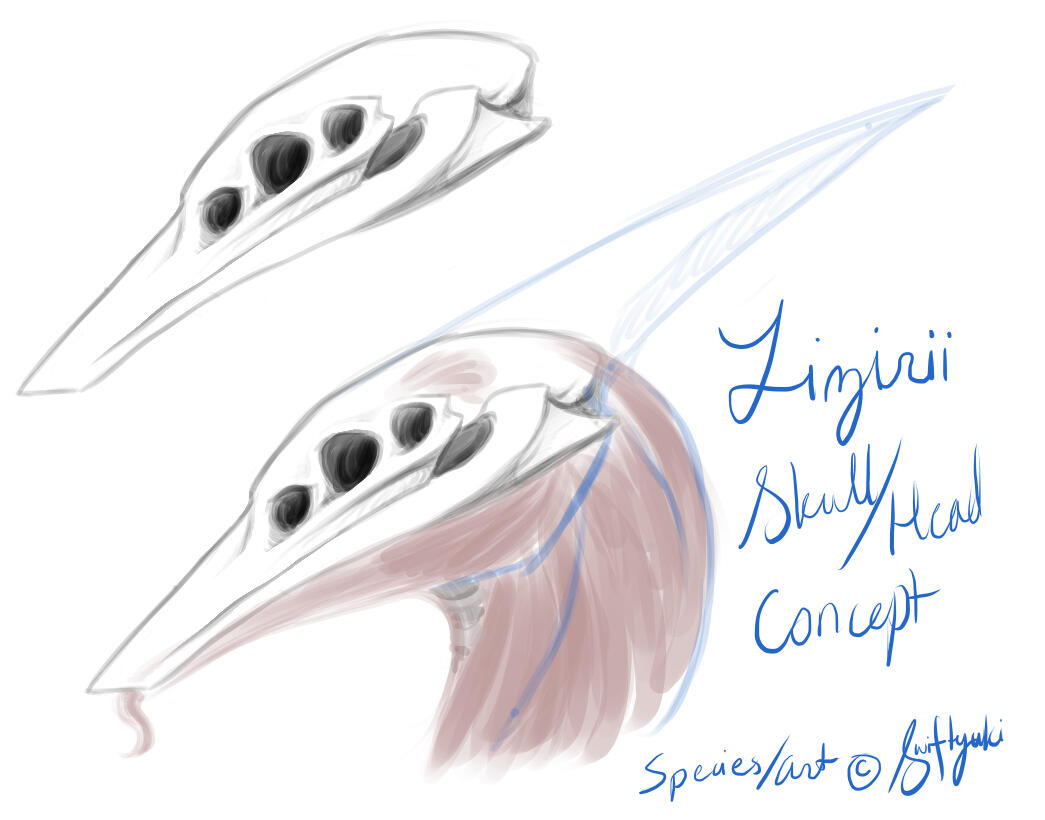 Rough anatomy concept of Lizirii head structure
