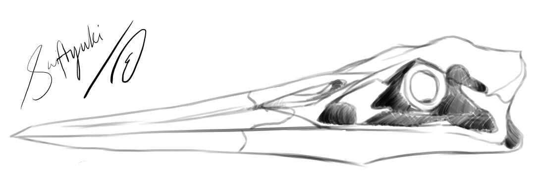 Heron skull study