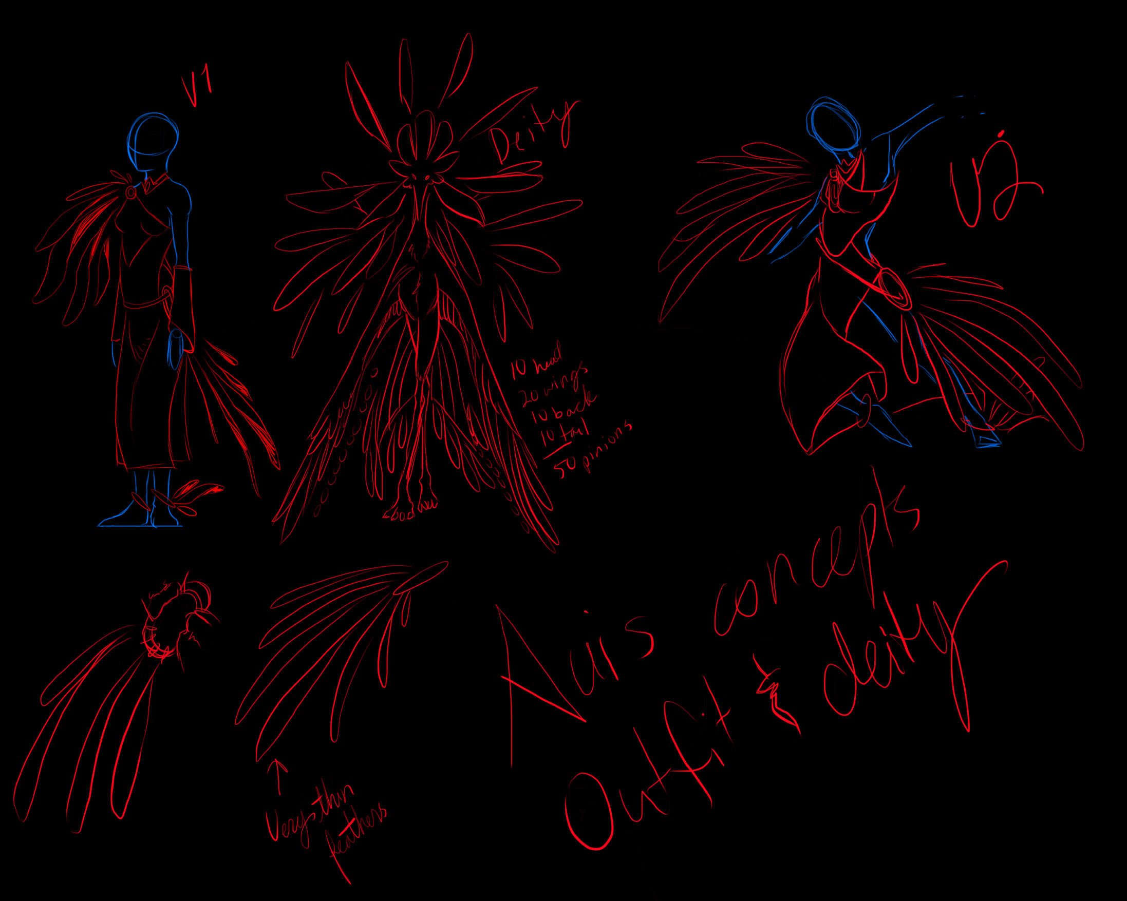 Concept of the Avis species
