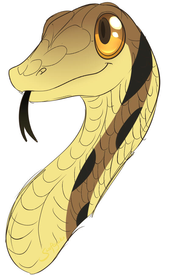 garter snake