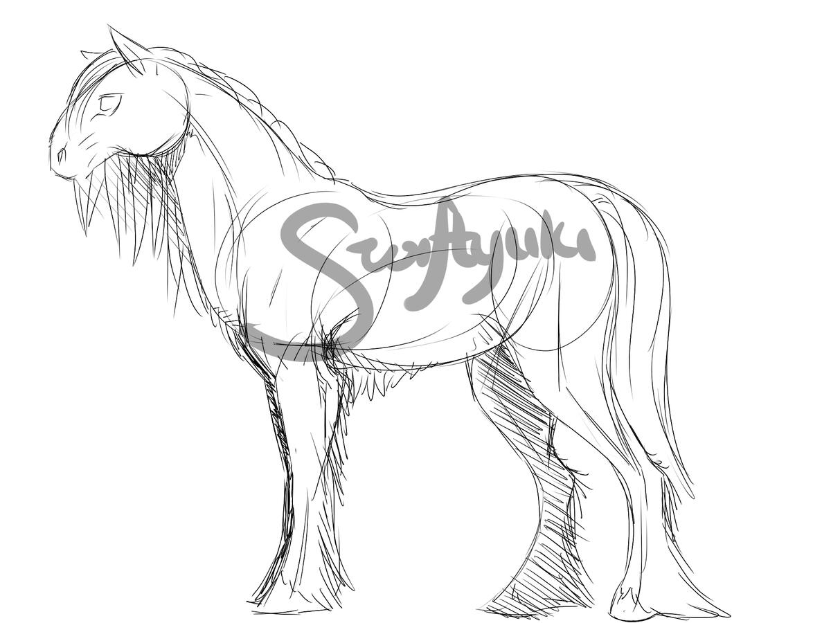 draft horse study