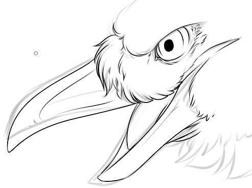 closeup of a bird's face