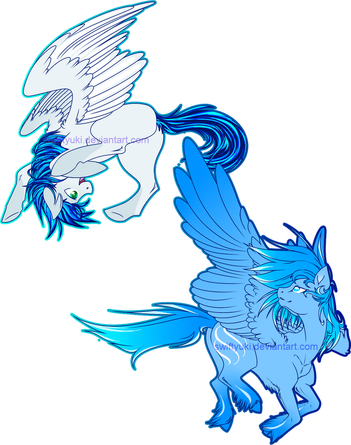 Ibbypony and north